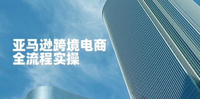 （14252期）亚马逊跨境电商全流程实操，教你从零开始，掌握店铺运营与广告技巧-青年云网创—高质量项目商城